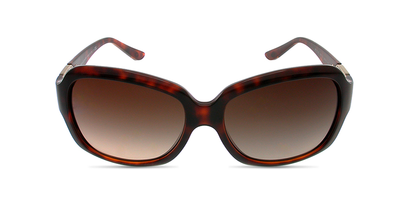 Bvlgari BV8110B96713 Sunglasses - Front View