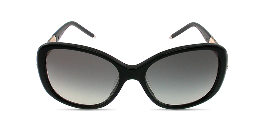 Bvlgari BV8114A50111 Sunglasses - Front View