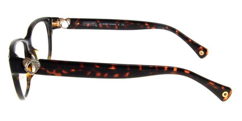 Coach HCHC6038FS5001 Eyeglasses - Side View