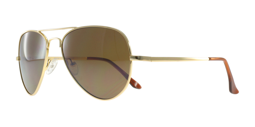 DZN D2513NC70S Sunglasses - 45 Degree View