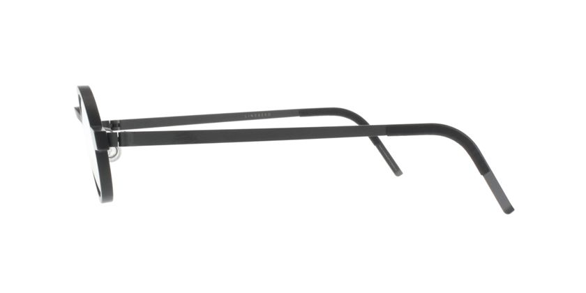 Lindberg ACETANIUM1042AH49 Eyeglasses - Side View